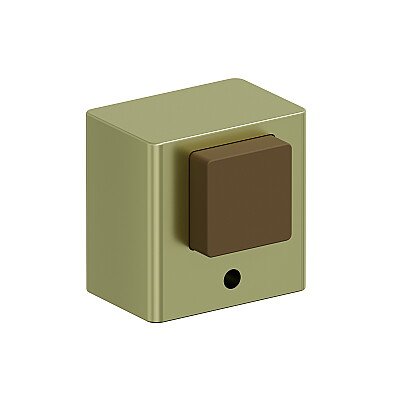 DS-1 / SG МатЗолото