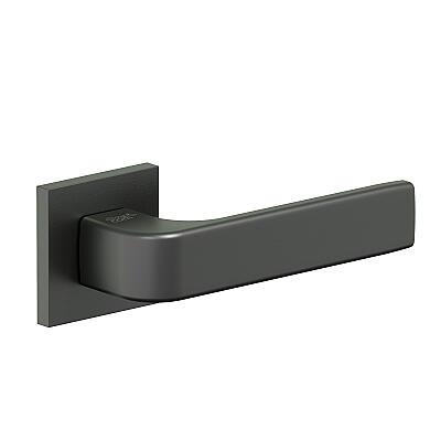 AS-310 / SGraphite