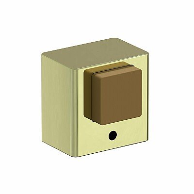DS-1 / G Золото
