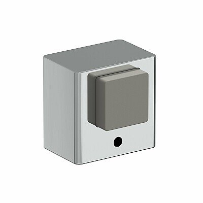 DS-1 / C Хром